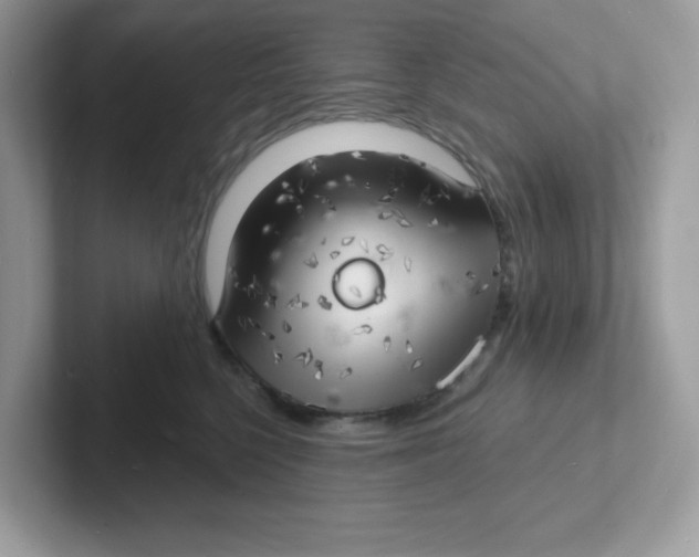 X0000101470568200807281022