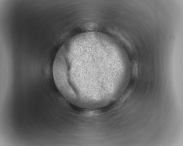 X0000101470569200807281022