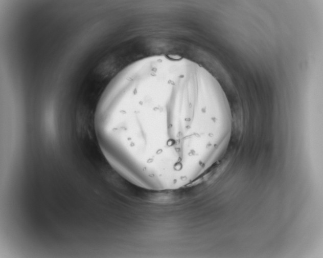 X0000101470574200807281022