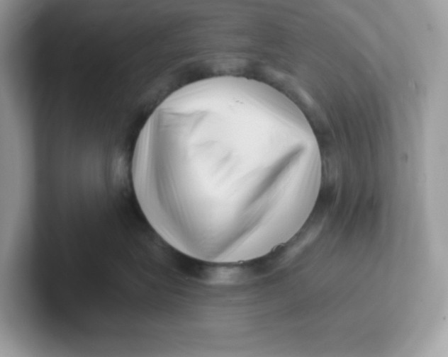 X0000101470575200807281022