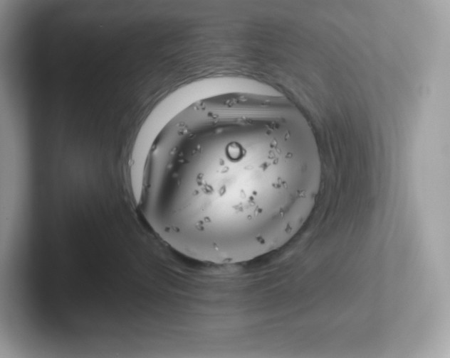 X0000101470576200807281022