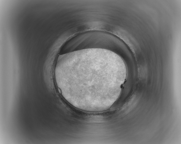 X0000101470577200807281021