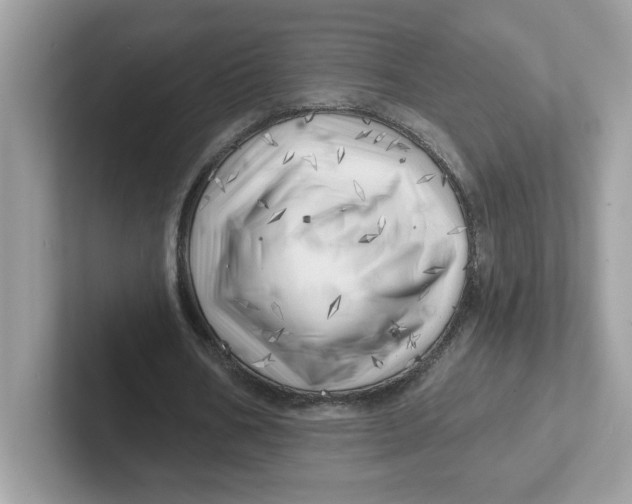 X0000101470578200807281021