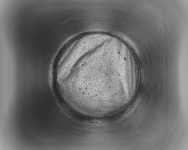 X0000101470580200807281021