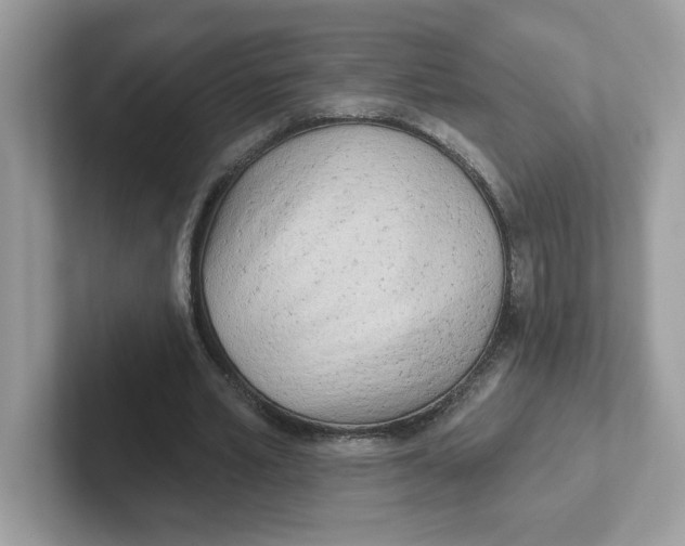 X0000101470581200807281021