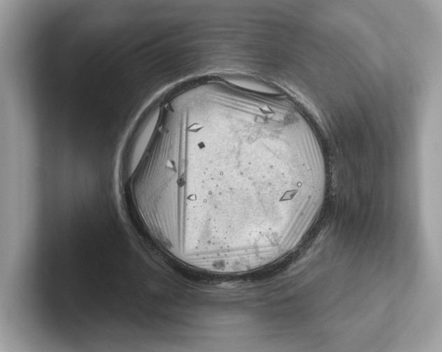 X0000101470584200807281021