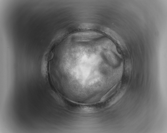 X0000101470585200807281021