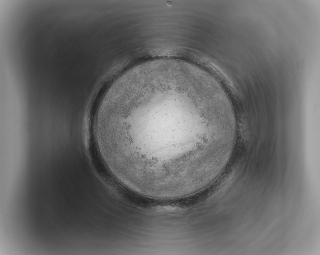 X0000101470586200807281021