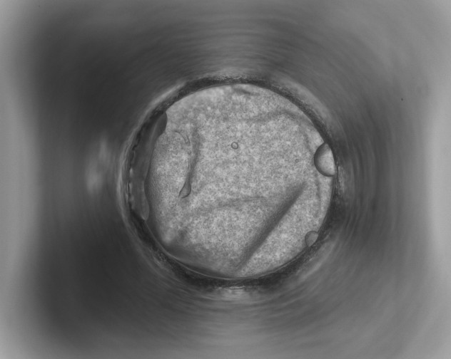 X0000101470588200807281021