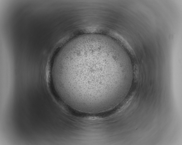 X0000101470590200807281021