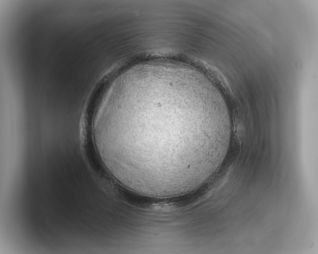 X0000101470591200807281021