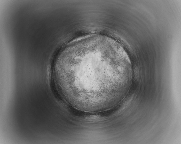 X0000101470594200807281021