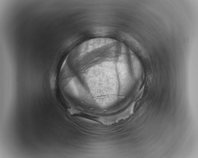 X0000101470596200807281021