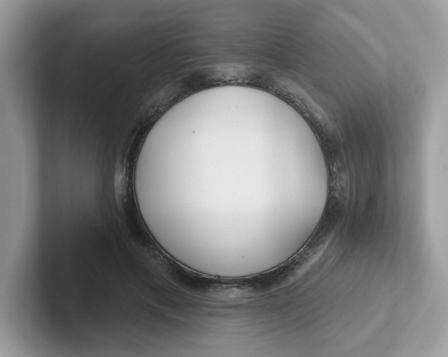 X0000101470597200807281021