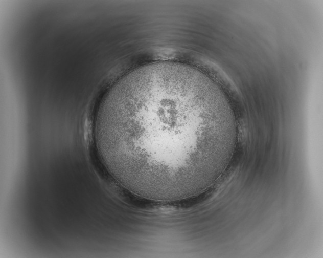 X0000101470598200807281021