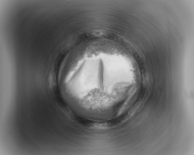 X0000101470606200807281021