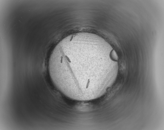 X0000101470607200807281021