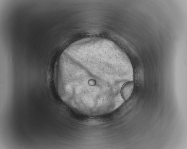 X0000101470608200807281021