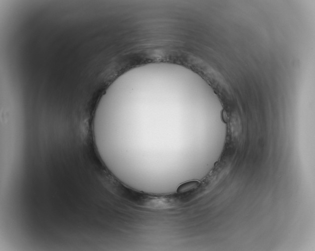 X0000101470611200807281021