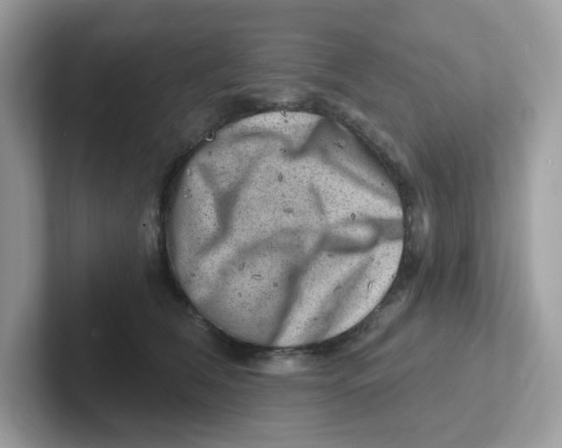 X0000101470612200807281021