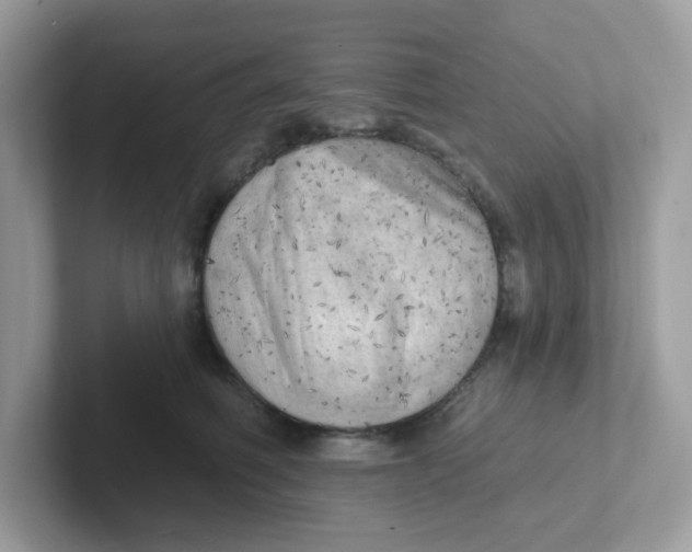 X0000101470614200807281021