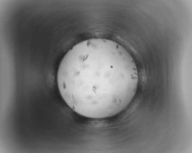 X0000101470615200807281021