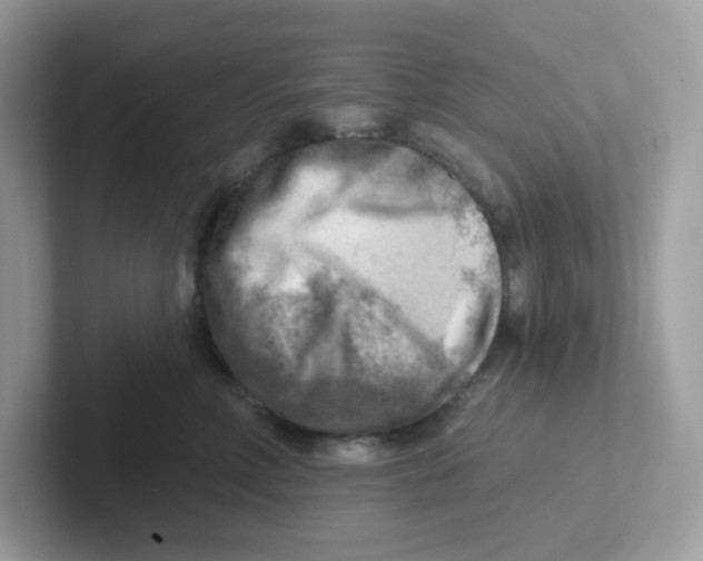 X0000101470618200807281021