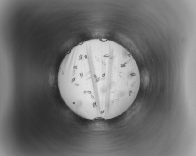 X0000101470619200807281021