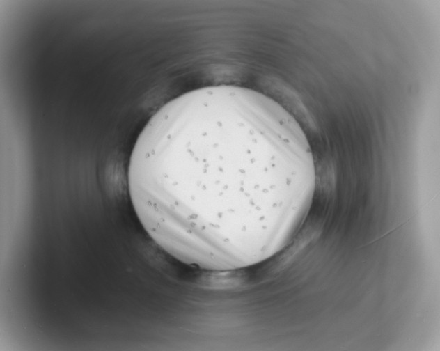 X0000101470622200807281020