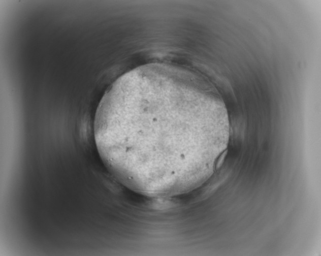 X0000101470623200807281020