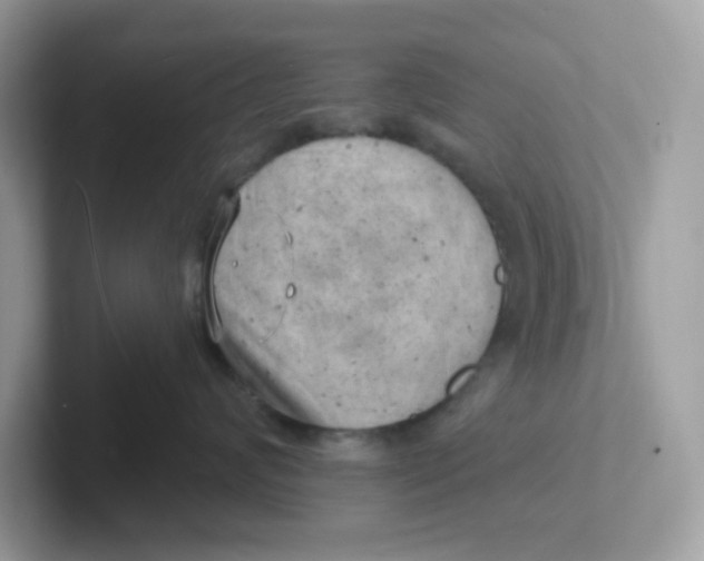 X0000101470624200807281020