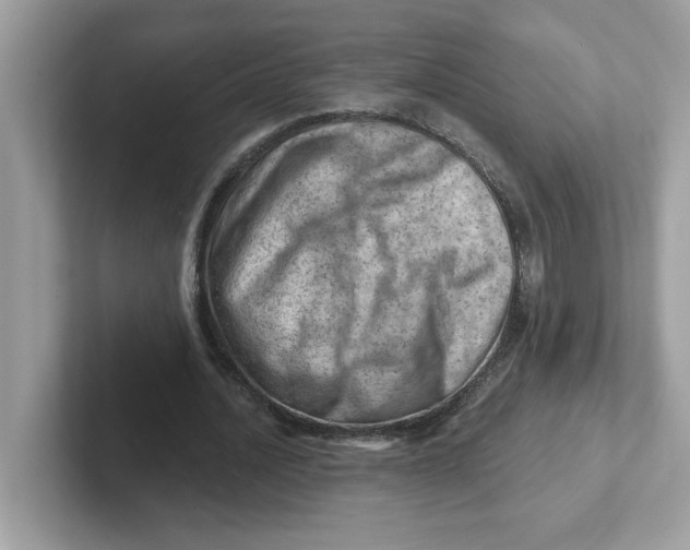 X0000101470628200807281020