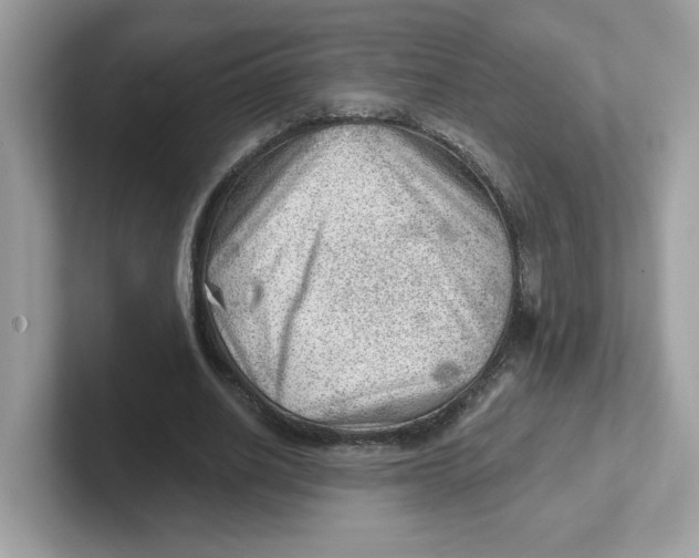 X0000101470630200807281020