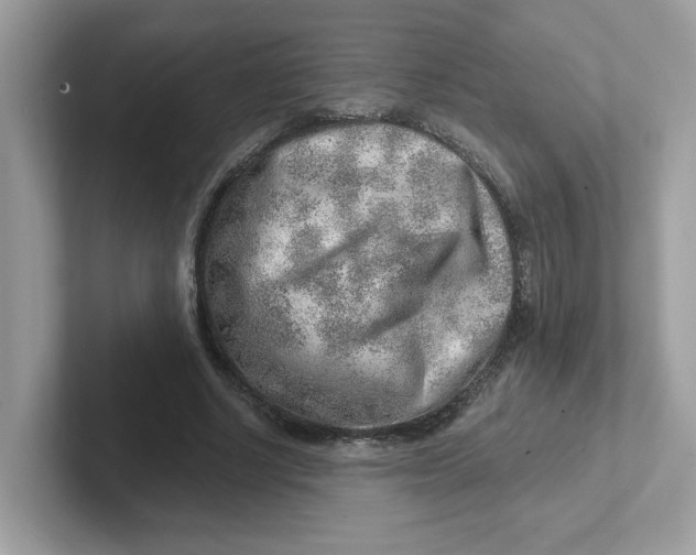 X0000101470634200807281020