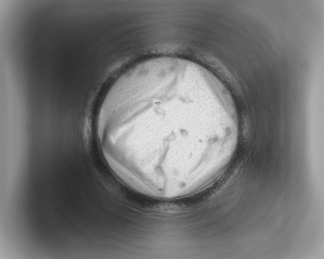 X0000101470636200807281020