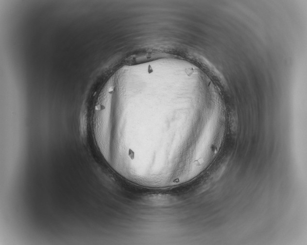 X0000101470637200807281020