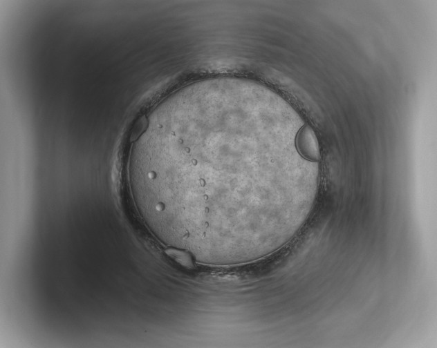 X0000101470640200807281020