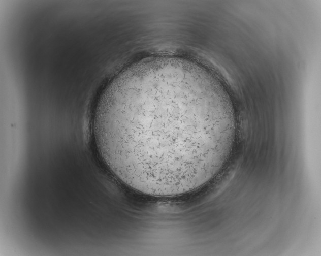 X0000101470641200807281020