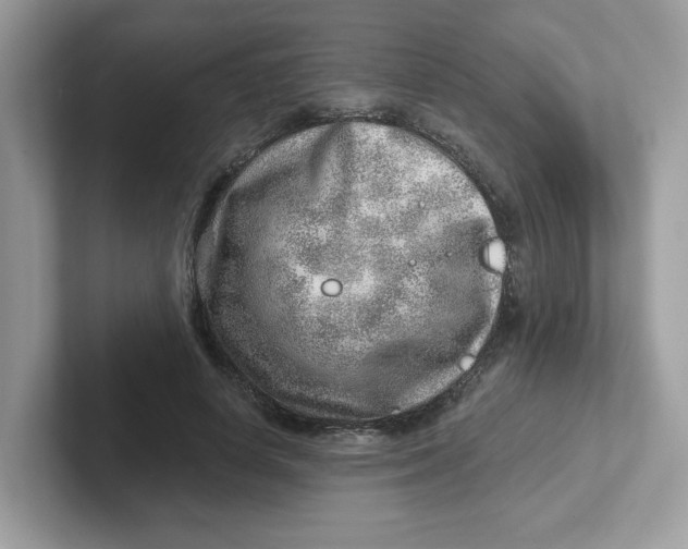 X0000101470642200807281020