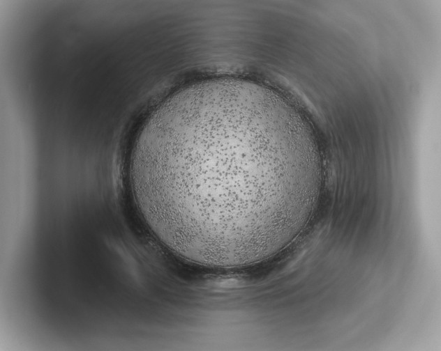 X0000101470643200807281020