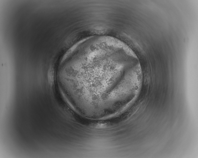 X0000101470647200807281020