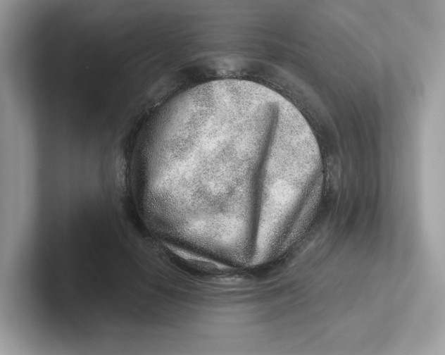 X0000101470650200807281020