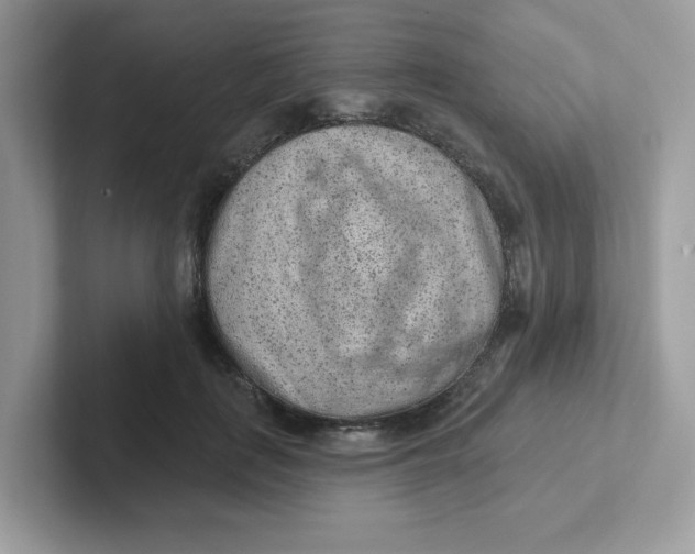 X0000101470651200807281020