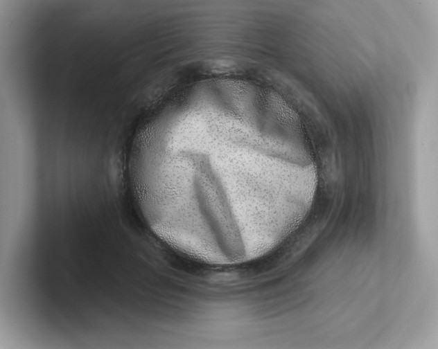 X0000101470653200807281020