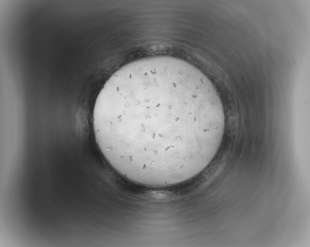 X0000101470654200807281020