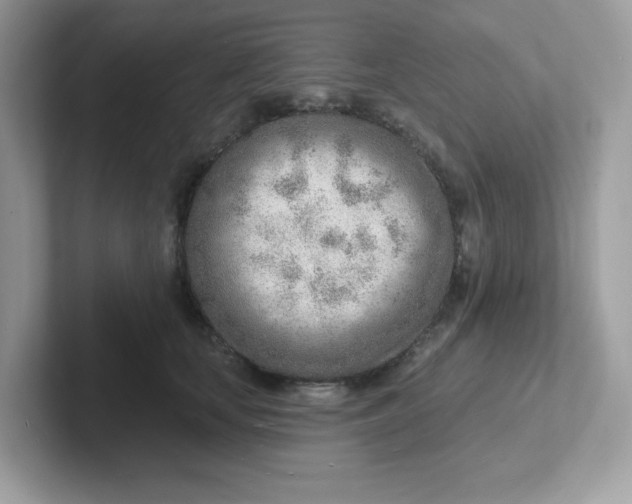 X0000101470659200807281020