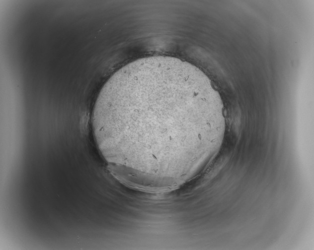 X0000101470660200807281020