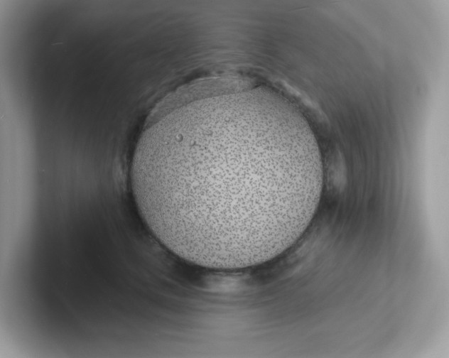 X0000101470661200807281020