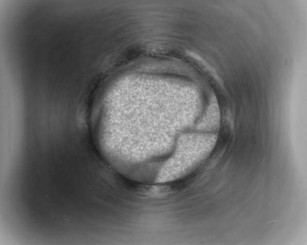 X0000101470663200807281020