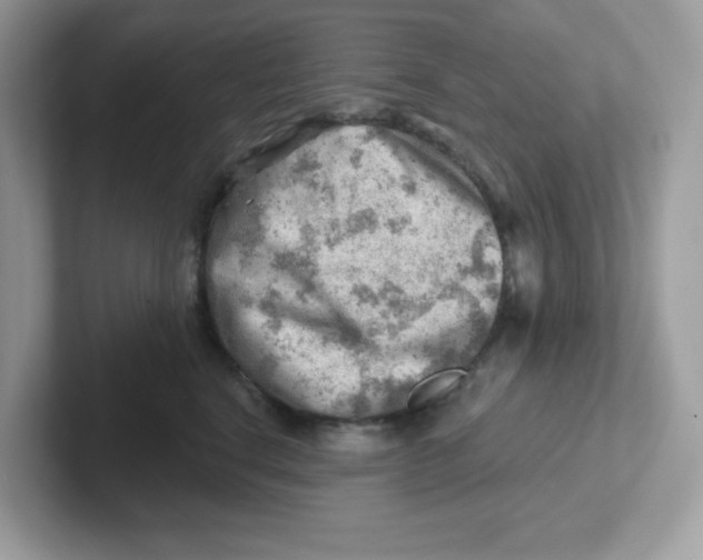 X0000101470664200807281020